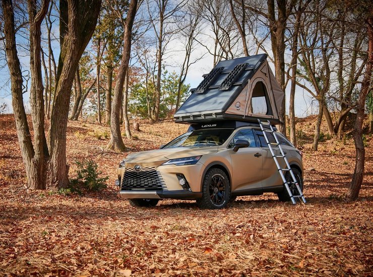 позашляховики Lexus, Lexus RX, Lexus GX, кросовер Lexus, тюнінг Lexus