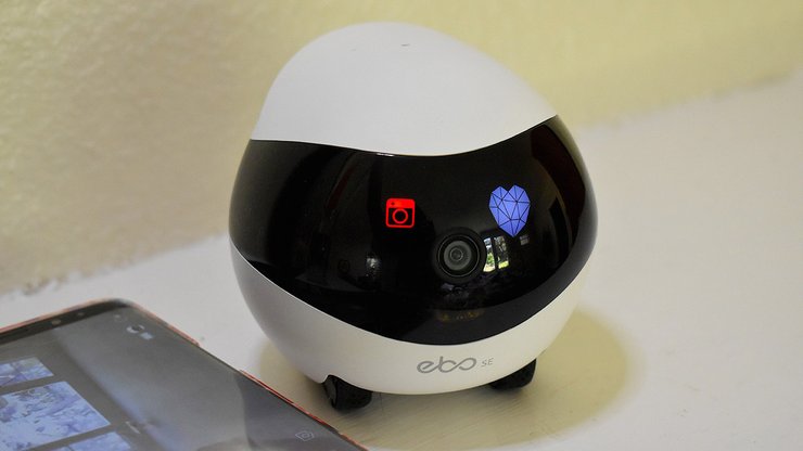 гаджети для тварин, догляд за домашніми тваринами