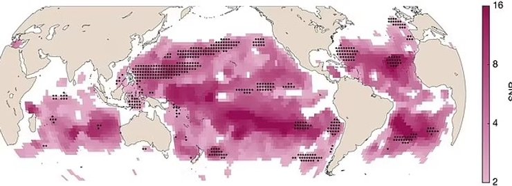 цвет океана спутник