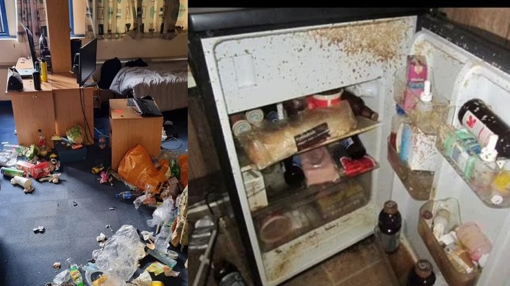 Сміття, бруд, пліснява, холодильник, кімната,