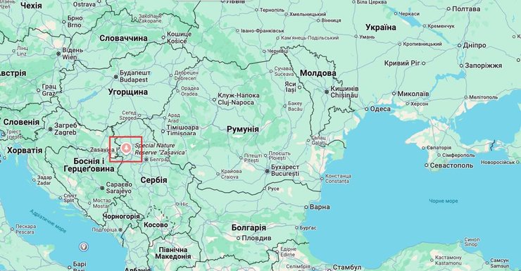 Сербия самый дорогой сыр Пуле