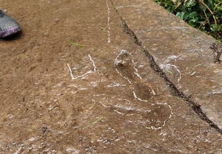 Китай, следы динозавров