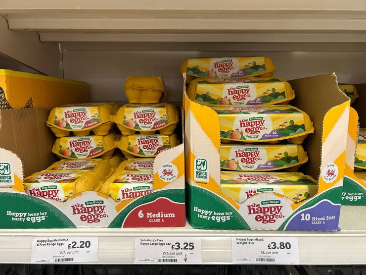 Ціни на яйця в Британії залежать від утримання курей