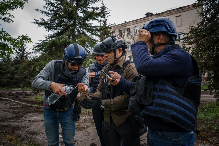 Арман Солдин, журналист, еж