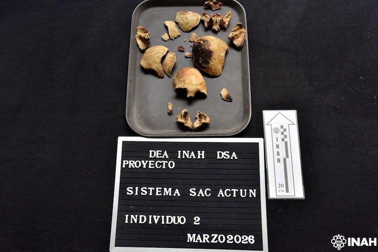 Останки передали до Національного інституту антропології та історії в Мехіко