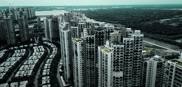 Жыныс: сапалы және сапасыз тауарлар