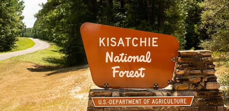 Йети, снежный человек, лес, лес в США, выпускной в лесу, загадочное существо, светящиеся глаза, напугал школьников