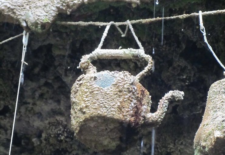 скам'янілий чайник