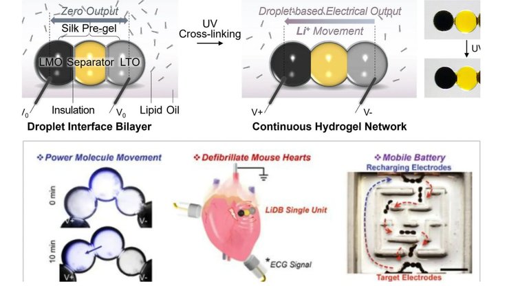 Батарея, аккумулятор, фото