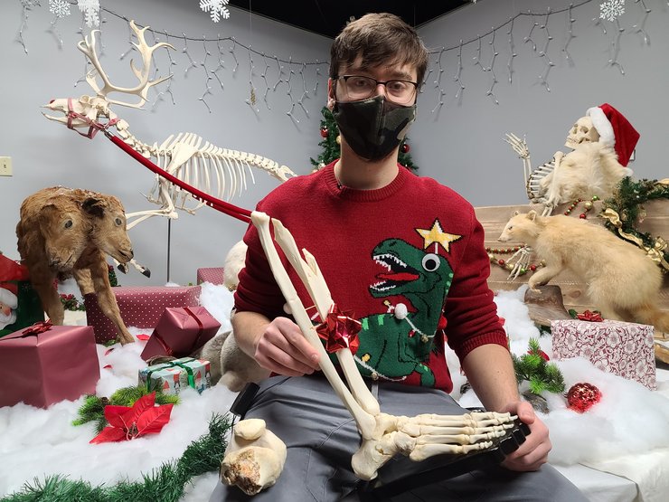 Джастин Фернандес, нога, таксидермия