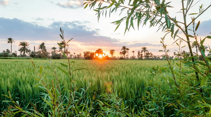 древнейший заселенный город, история, археология, исследования