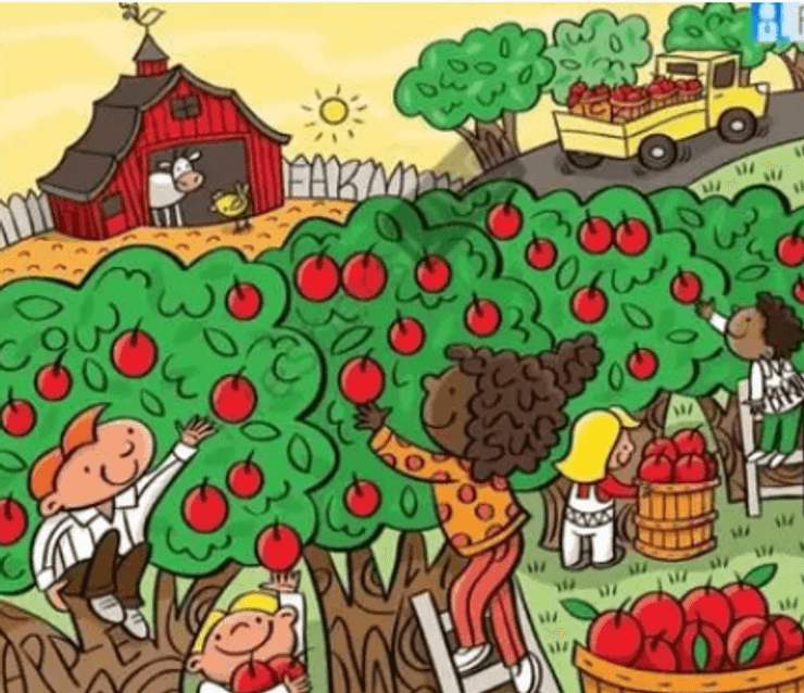 загадка, головоломка, тест, изображение, визуальная головоломка