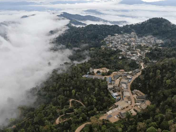 ЮНЕСКО, наследие, список, каталог, мировое наследие, модель, природа, модель, чай, лес, вера, курганы, пещеры, планетарий