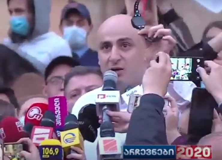 Ника Мелия, митинг, ЕНД, Грузия