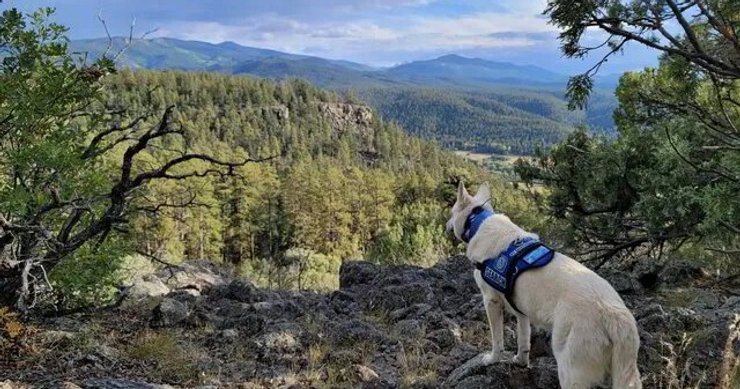 Гори Колорадо