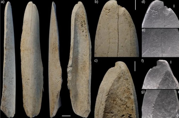 костяное орудие неандертальцы