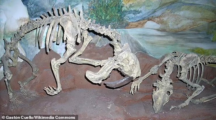 скам’янілості, дослідження, наука, вимирання, древні тварини, древній хижак, сумчасті, хижі тварини, древні хижаки, аномалія, шаблезубі, тварини хижаки, хижацтво, аномалія