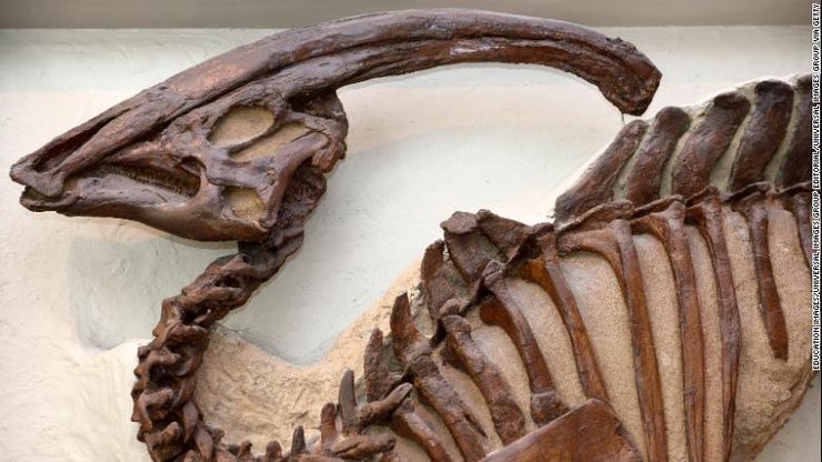 Паразуоролоф с переломом позвоночника.