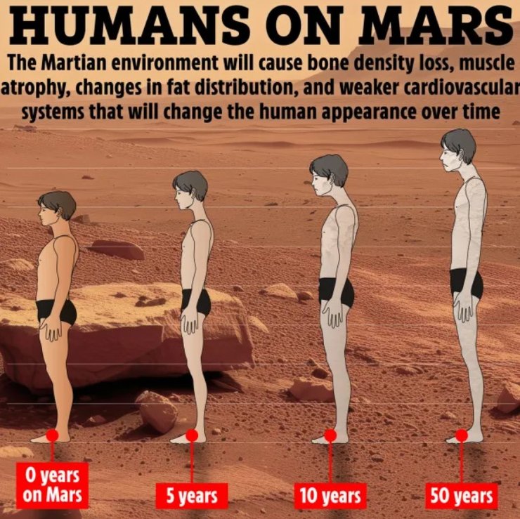марс, человек, поселение на марсе, освоение марса, колонии на марсе, жизнь на марсе