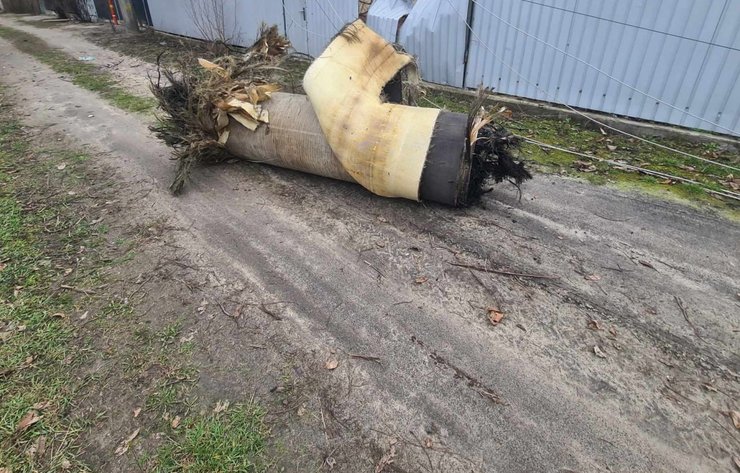 циркон, ракета, россия