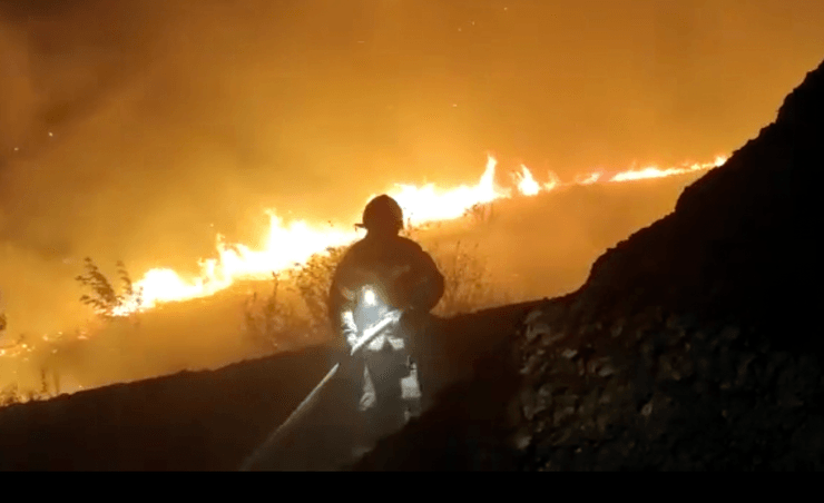 пожежа, лісова пожежа, росія, пожежі в росії, площа пожеж у росії