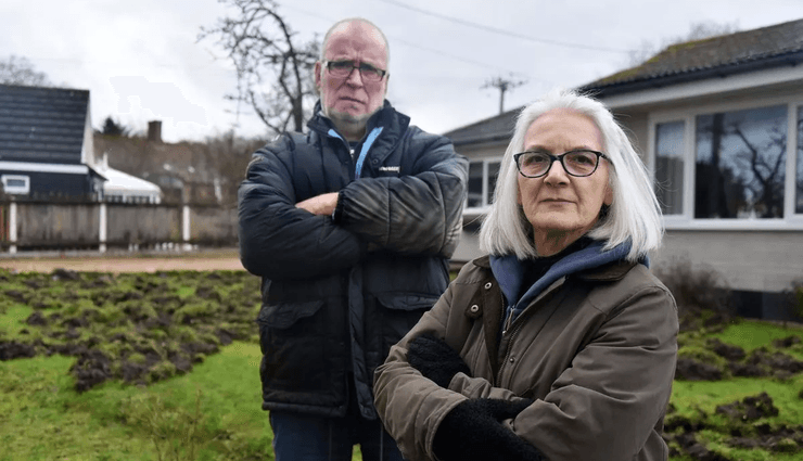 Свині влаштували хаос у селі, свині втекли з ферми, банда свиней, свині псують майно, жителі в паніці, свині псують ділянки