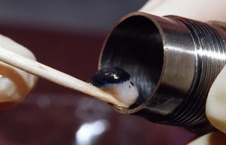 Вчені вивчили підшкірний жир та шкіру афалін.