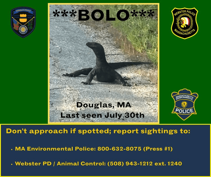 Варан утікач