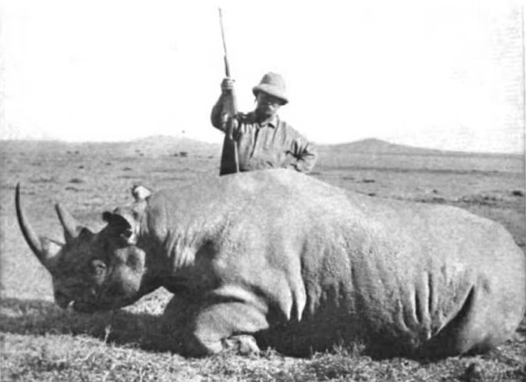 рузвельт, носорог