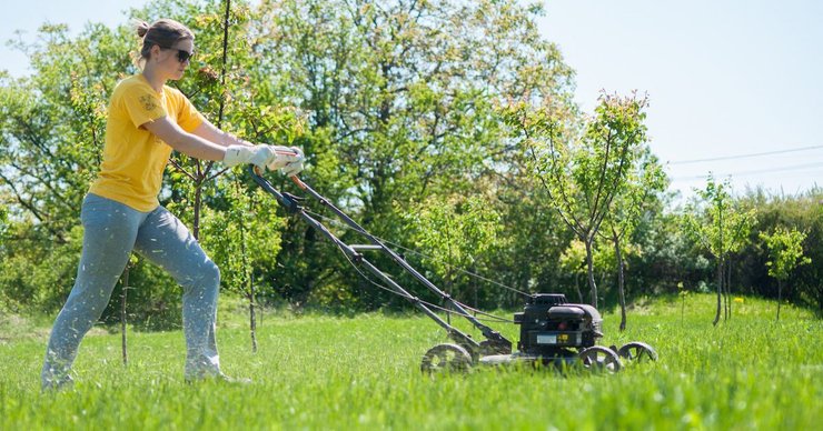 девушка, кошение травы, трава, деревья, фото