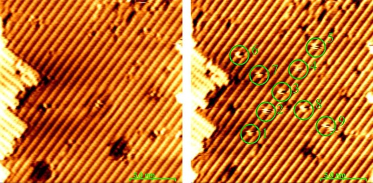 University of Texas at Dallas