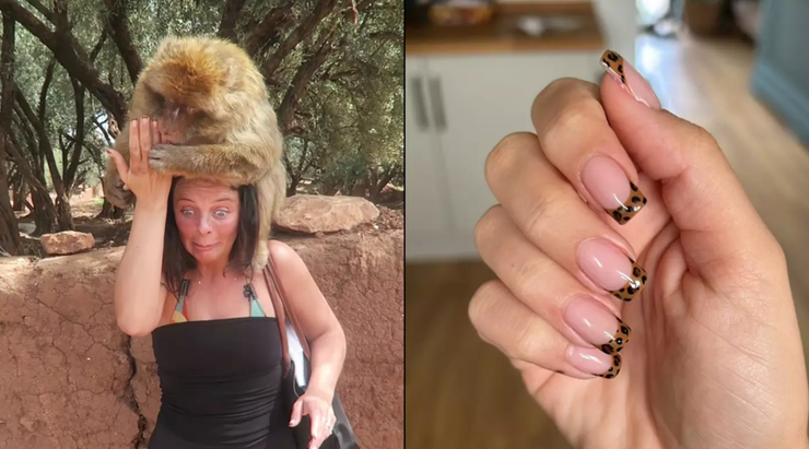 Мавпа напала на туристку, пригоди під час подорожей, курйози, TikTok, вірусні відео, приколи, екскурсії, примати, тварини