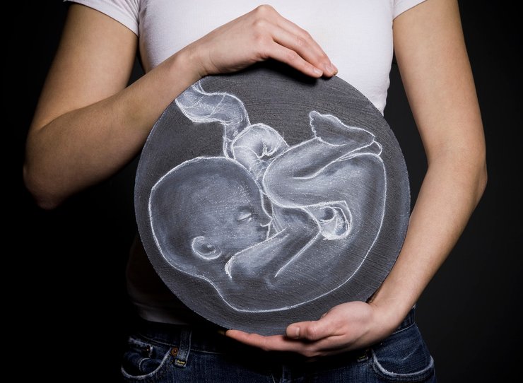 беременность, эмбрион