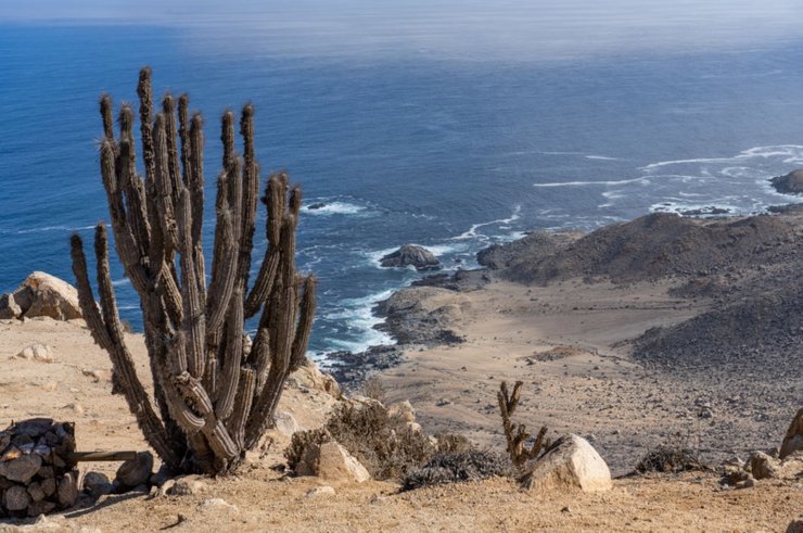 пустеля Атакама