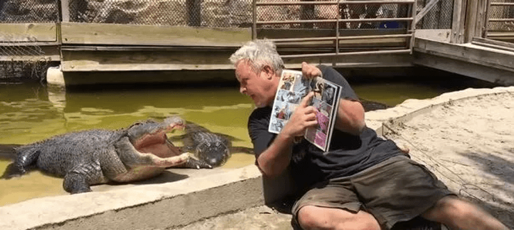 Крокодилы во Флориде