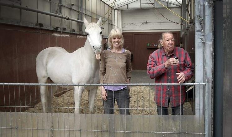 кінь Дженні