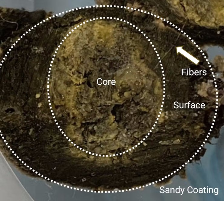 куля пляж склад, чорні кульки, смолянисті кульки, смолянисті кульки