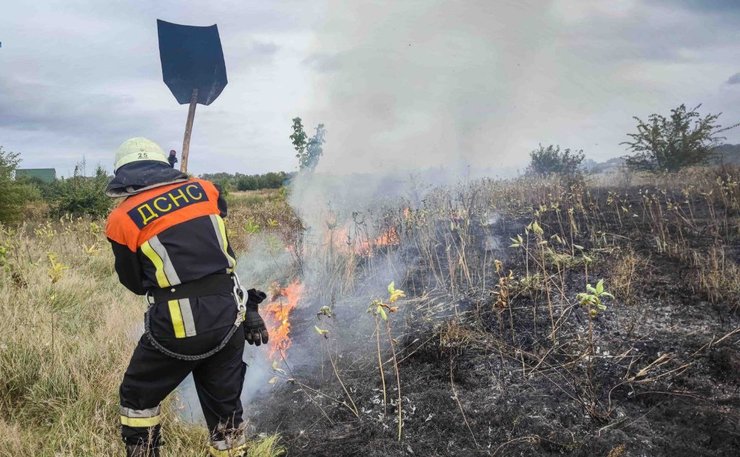 спалювання трави та листя