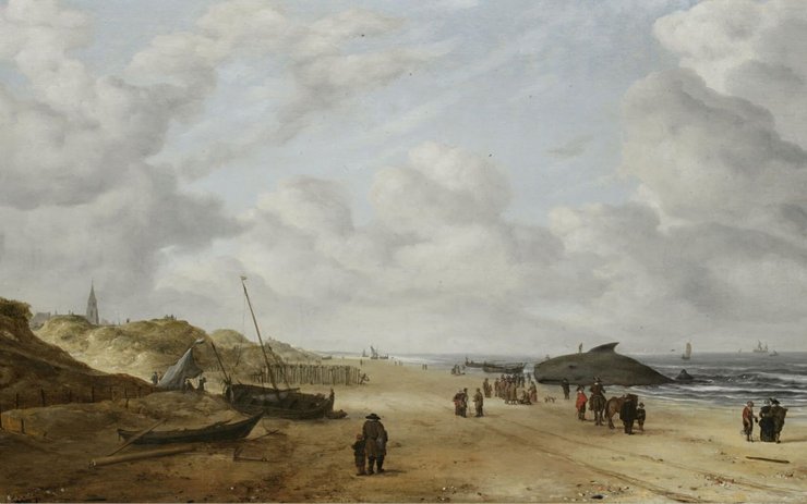 фото, картина Вид песков Схевенингена (с китом) голландского художника Хендрика ван Антониссена