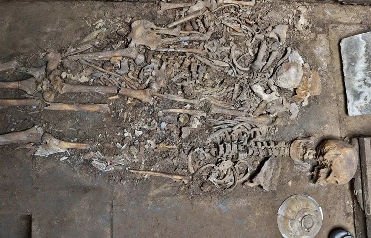 династия Цзинь, Великая Цзинь, китай, гробница, захоронения, останки, археология, раскопки, история, история