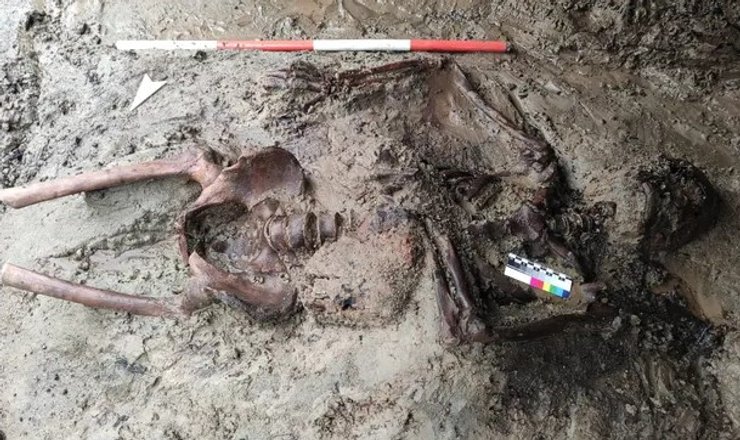 Скелет, Геркуланум