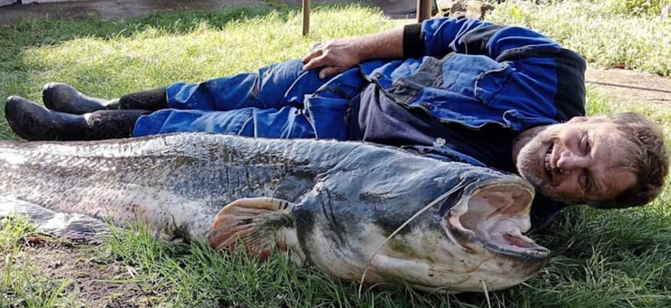 Чоловіки виловили у чеському водосховищі риб дивовижних розмірів, в чому секрет цього озера