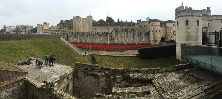 львиной башне, лондонский тауэр