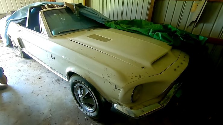 Ford Mustang Shelby GT500KR, Ford Mustang Boss, Shelby GT500 KR, Ford Mustang Shelby GT500