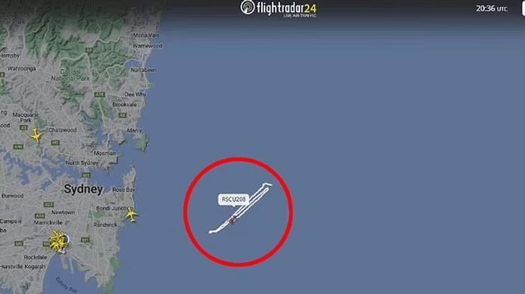 Круизный лайнер, Pacific Adventure, корабль мечты, судно, корабль, турист упал за порт, поиски пассажира, оставались в море