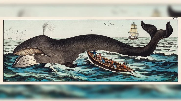 гренландский кит китобои