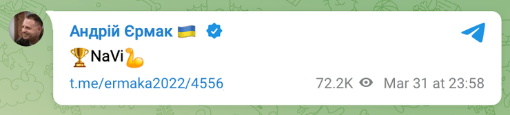 Андрій Єрмак, navi cs go, navi counter strike, natus vincere, navi cs2, PGL Major Copenhagen 2024