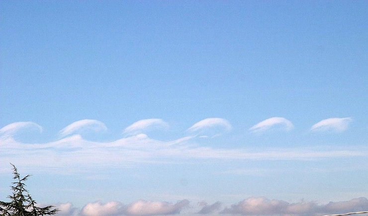 облака, небо, дерево, снимок