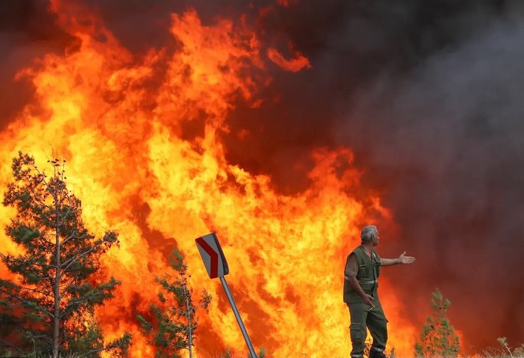 Пожежа, вогонь, лісова пожежа, південь Європи