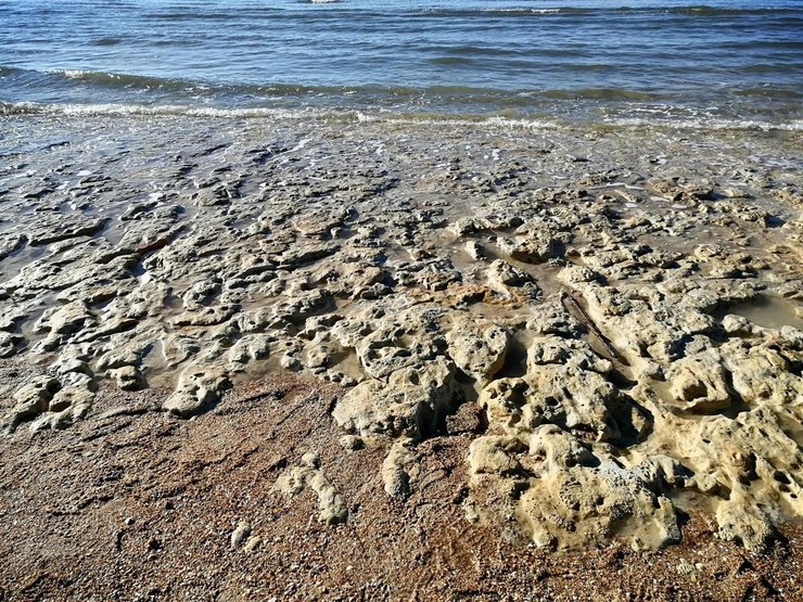 Сліди, таємниці, археологія, види людини